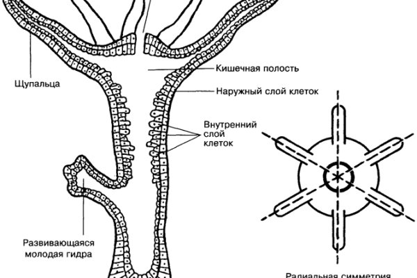 Доступ к сайту кракен